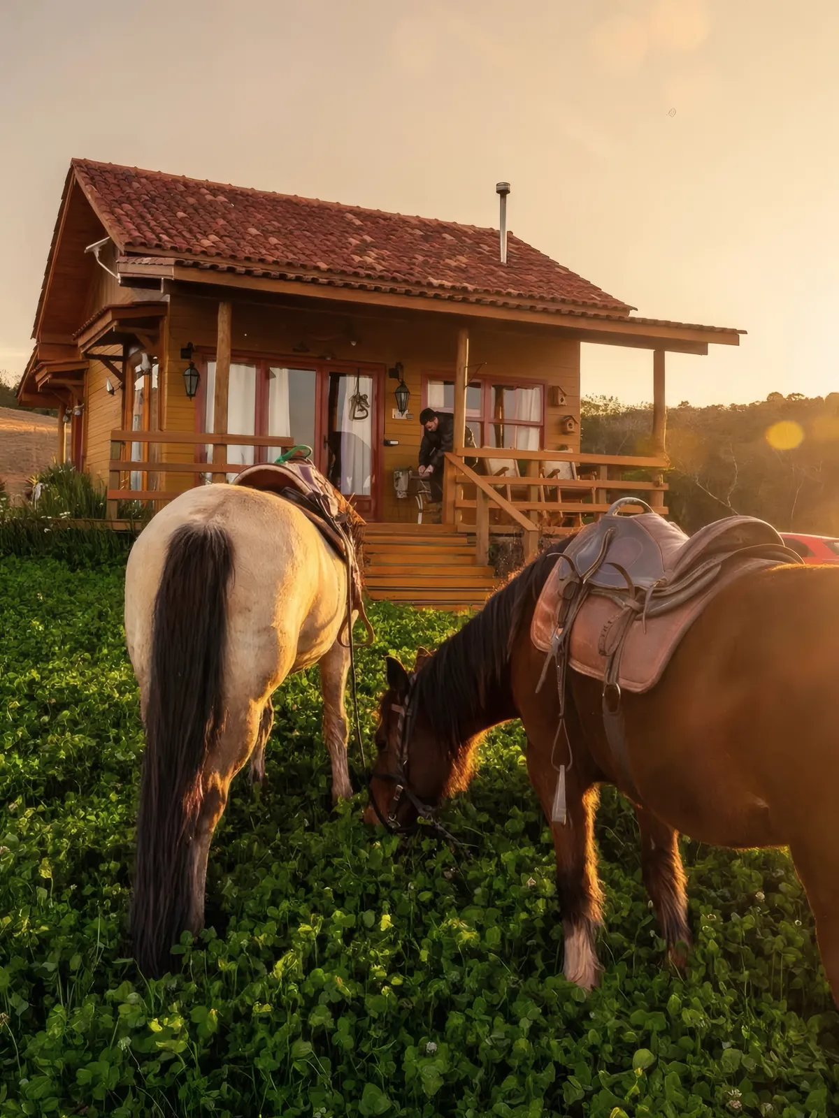 Cavalos pastando em frente à Cabana Gaia no entardecer